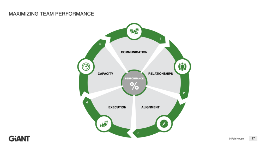 17 maximizing team performance
